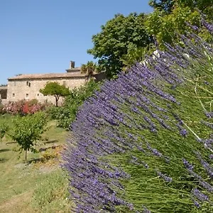 domaine-de-cousignac.hotels-rhonealpes.com/