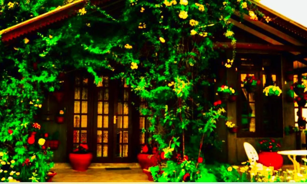 Serendipity Lake Artistic Bungalow By Heidis Home Nuwara Eliya Sri Lanka